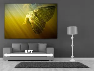 48x108 Custom Canvas