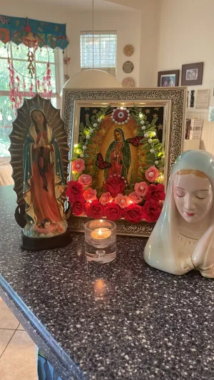CANVAS/ frame Guadalupana