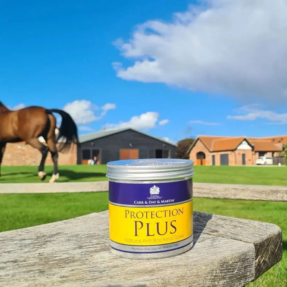 Carr & Day & Martin Protection Plus Antibacterial Salve