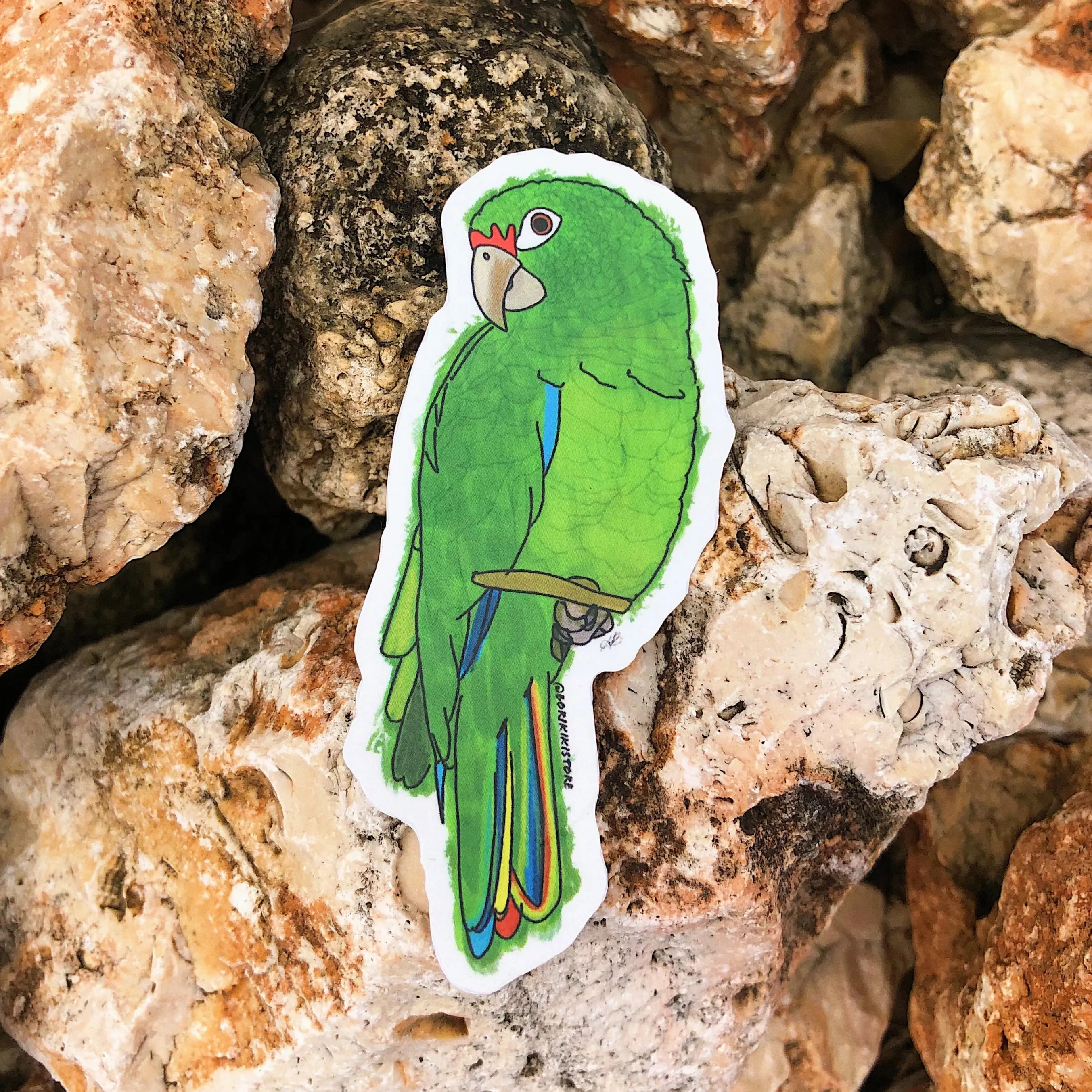 Cotorra Puertorriqueña
