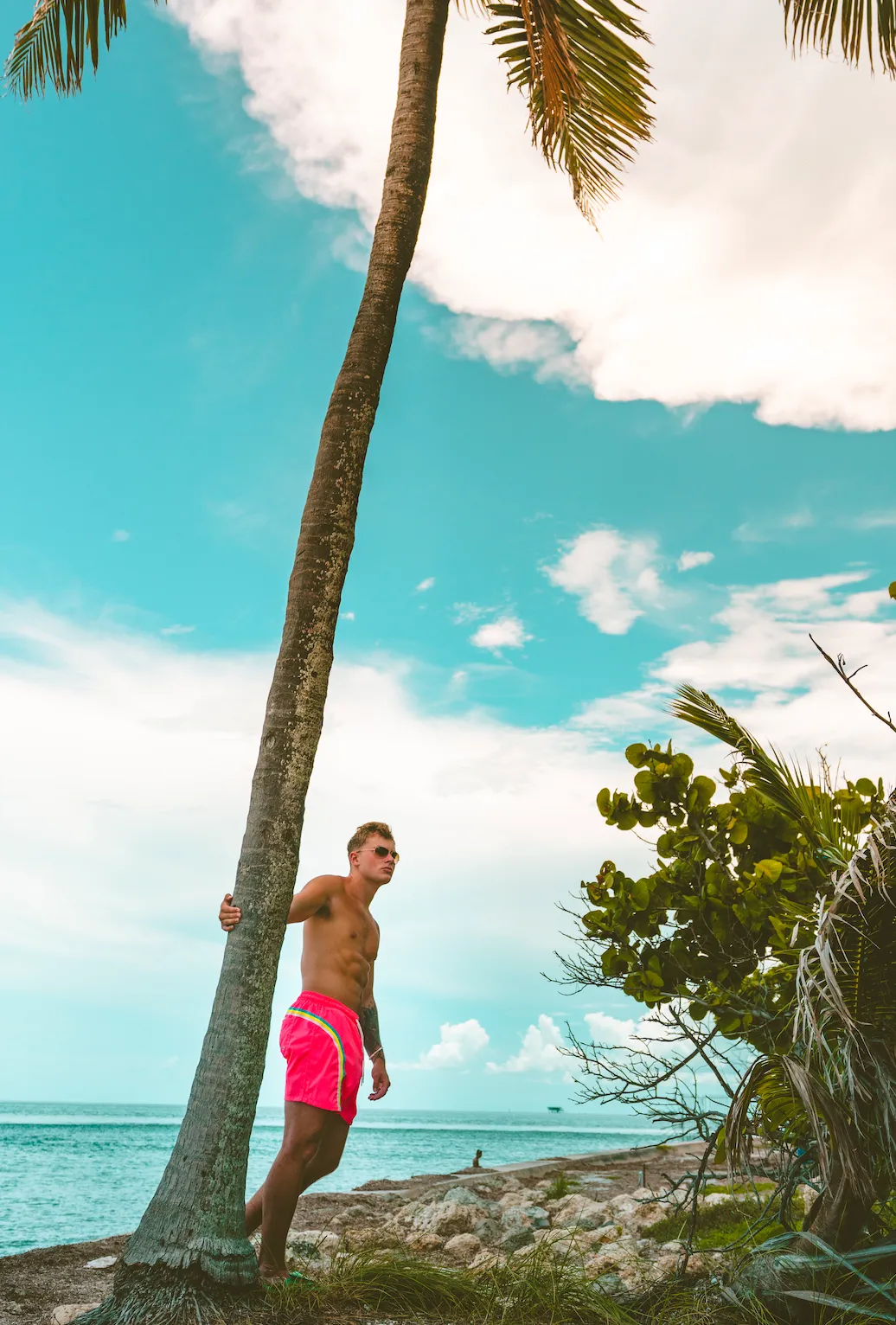 Miami Vice