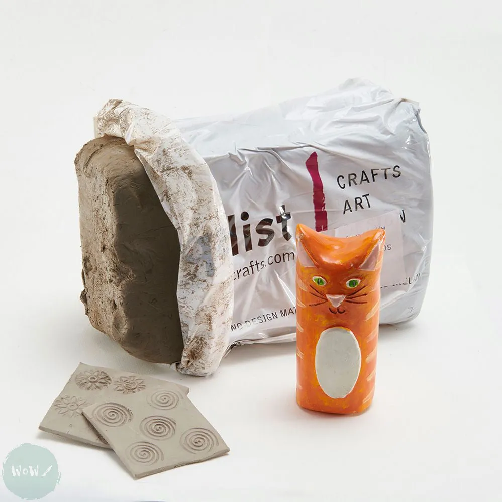 Modelling Clay- SPECIALIST CRAFTS -  Air Dry or Fire - 12.5KG