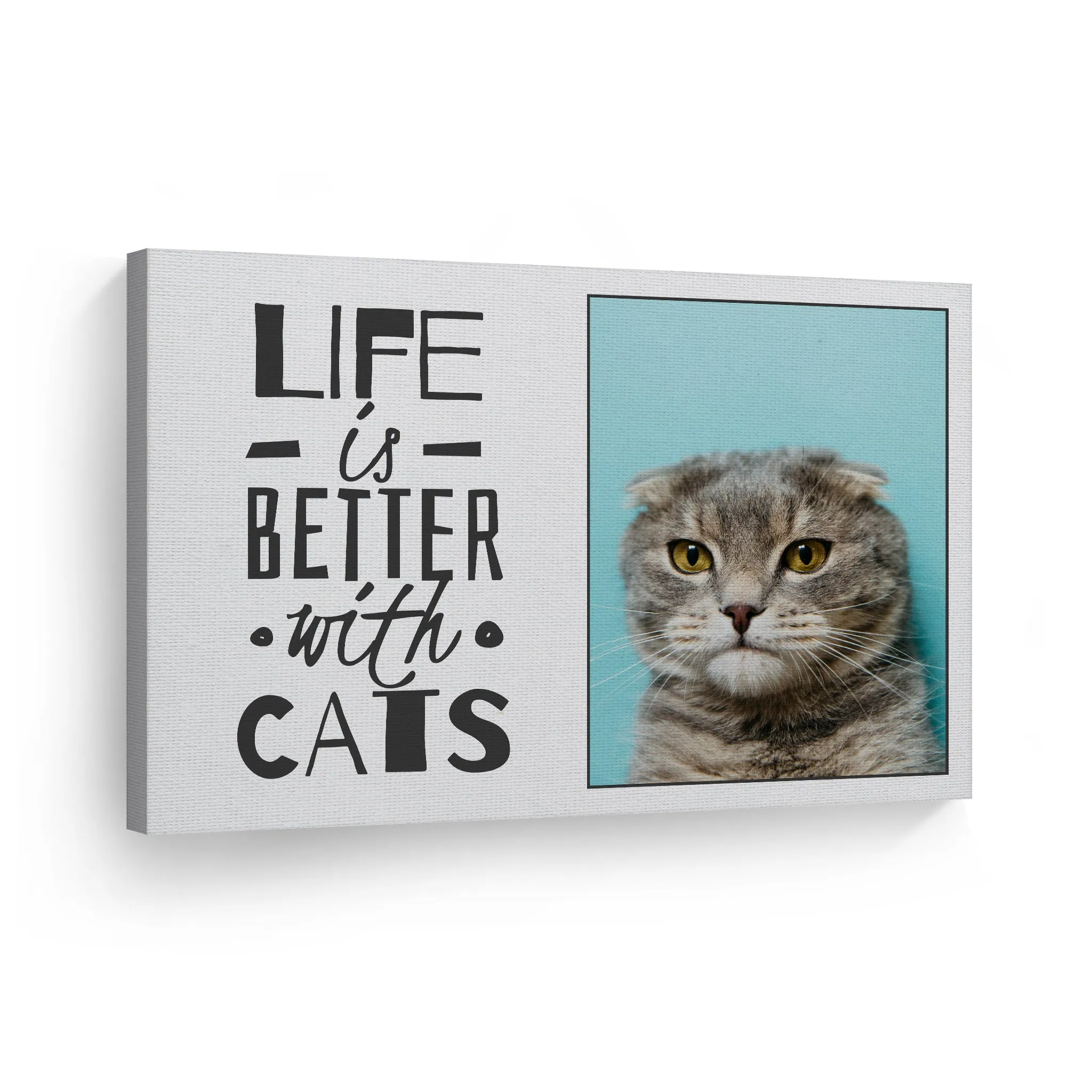 Personalized Gift Wall Art Custom Photo Pet - Life is Better with Cats
