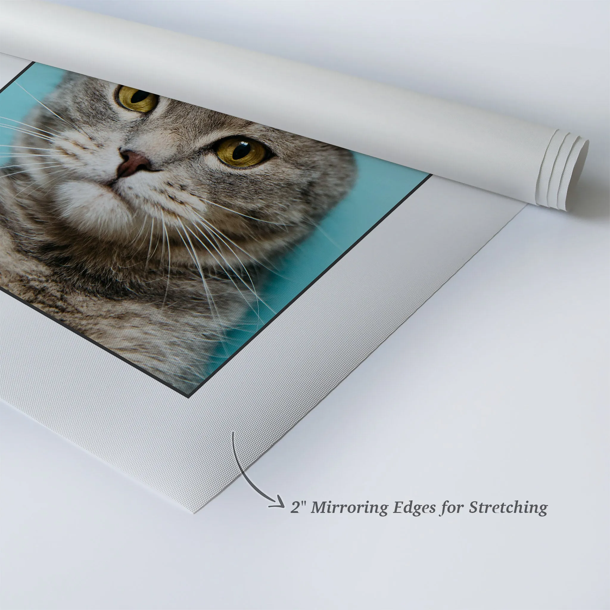 Personalized Gift Wall Art Custom Photo Pet - Life is Better with Cats