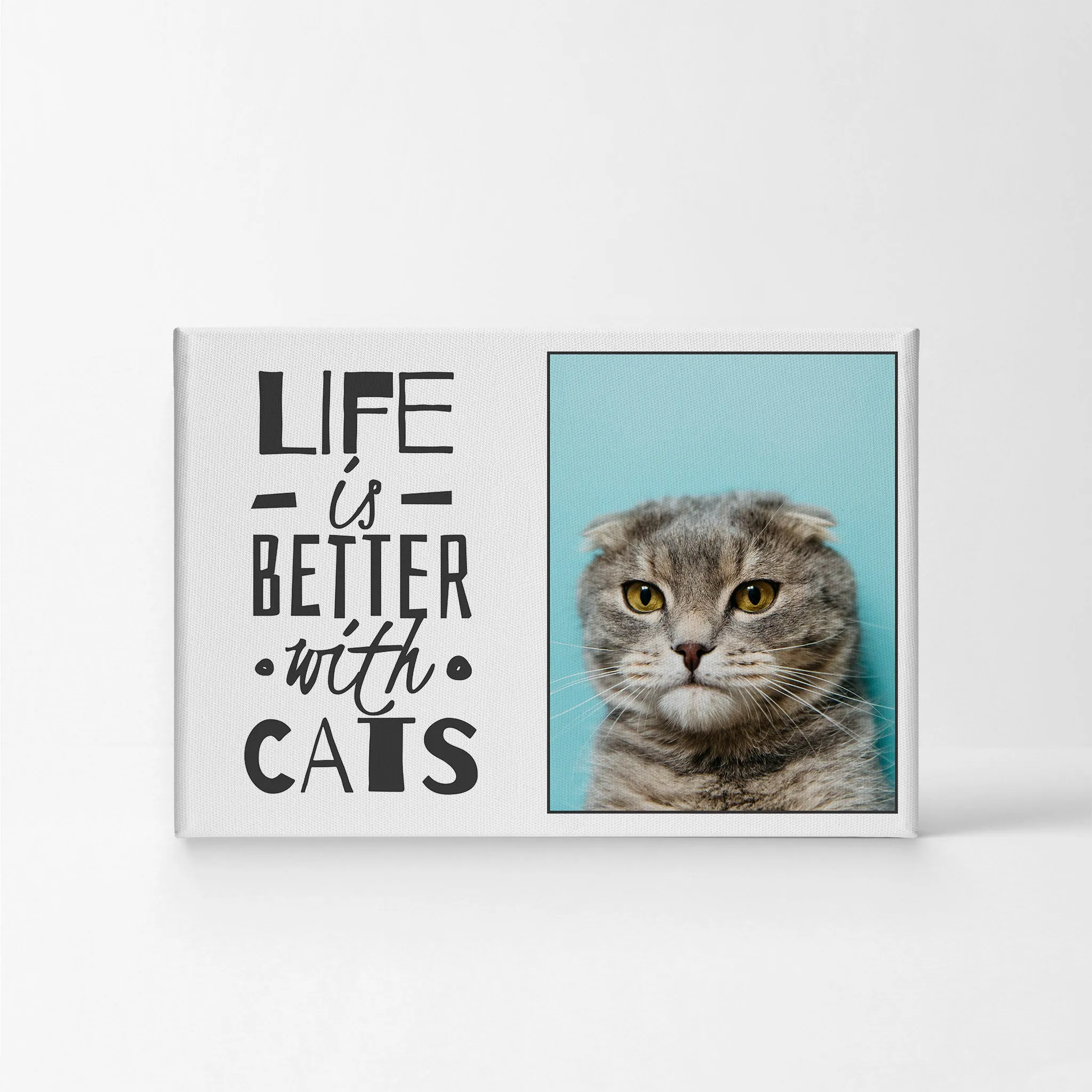 Personalized Gift Wall Art Custom Photo Pet - Life is Better with Cats