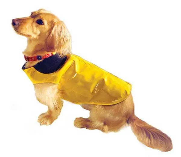 Pet Reversible Rain Coat