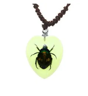 Real Chafer Beetle Heart Shaped Necklace, Glows In The Dark Real Nature Gift