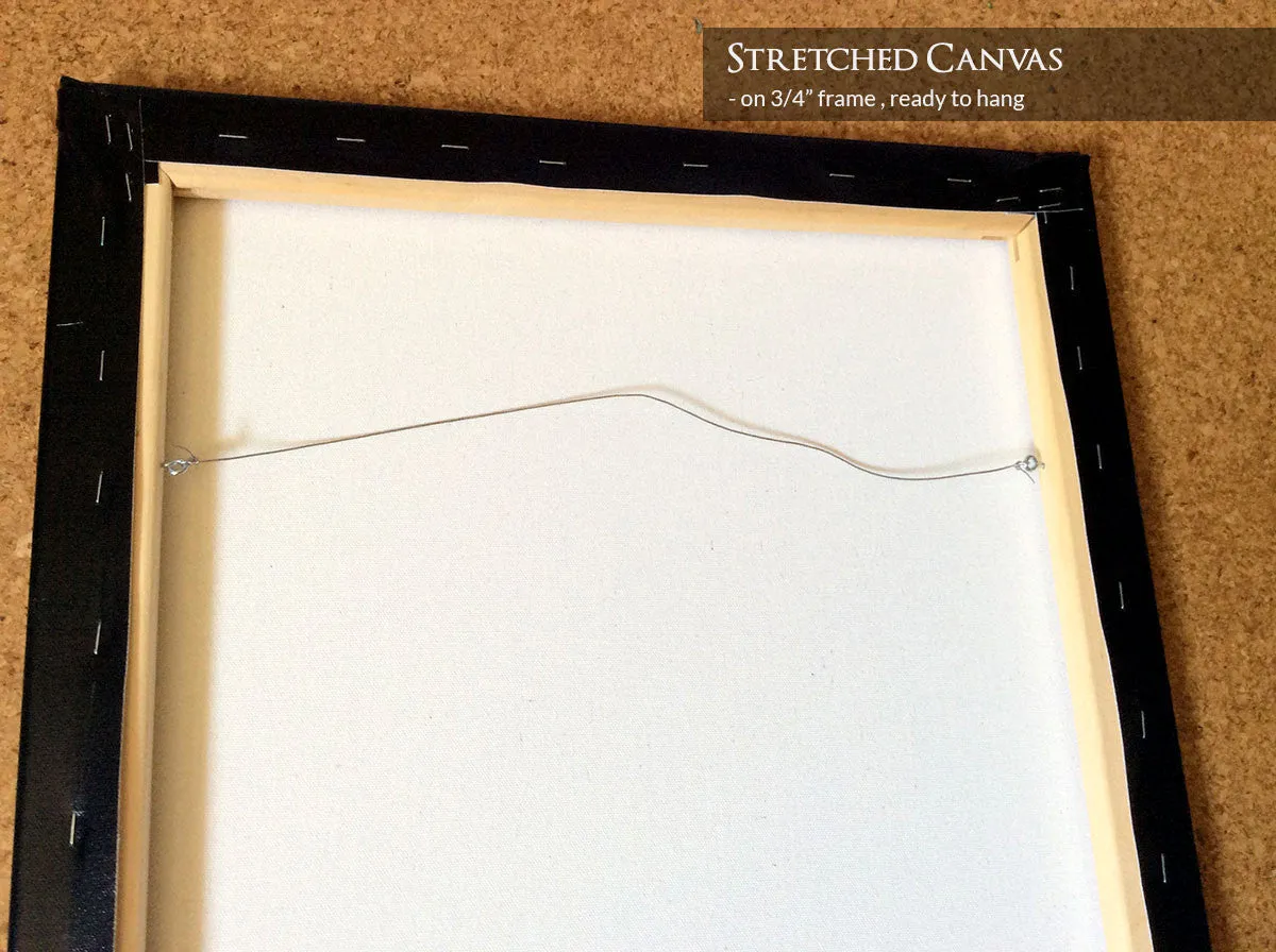 Stag - Canvas Prints